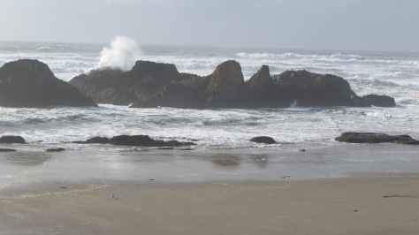 seal rock - big waves